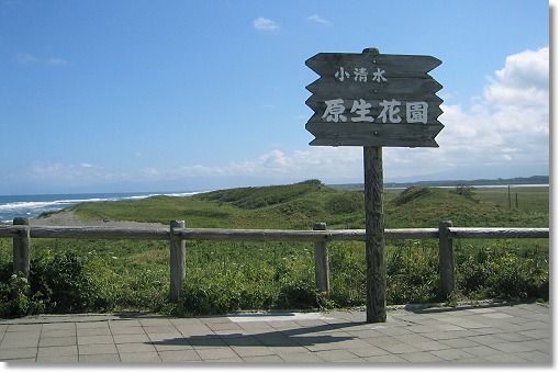 �����������ԉ�