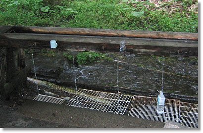 �����݂̐X���^����