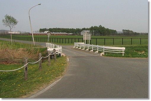 �m�[�U���z�[�X�p�[�N