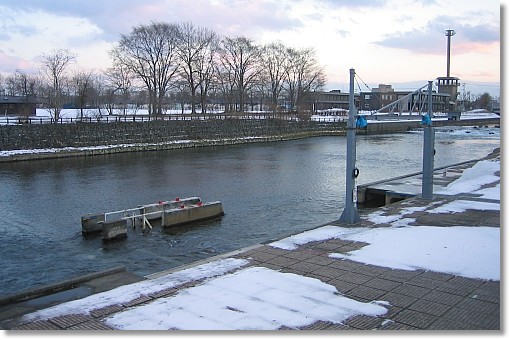 ��΃T�P�̂ӂ邳�Ɗ�