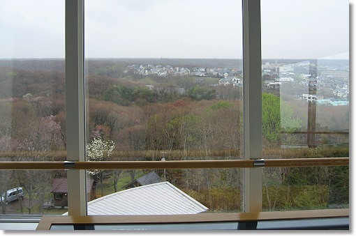 �΃��u����