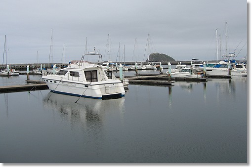 �����E�G�������}���[�i