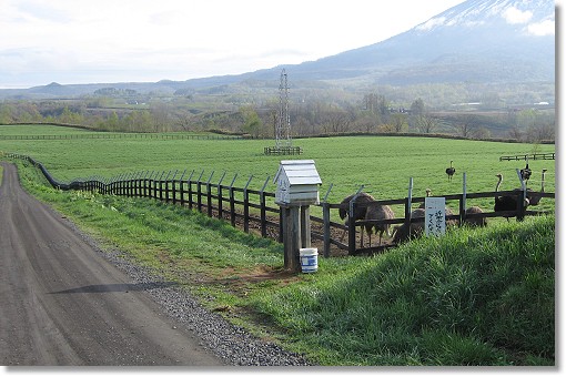 �r���R(�j�Z�R��)