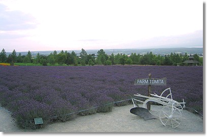 �t�@�[���x�c