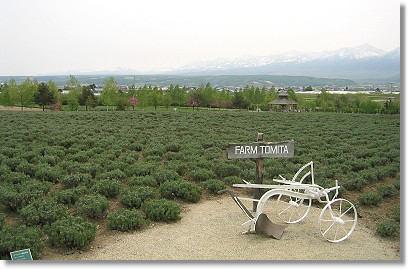 �t�@�[���x�c