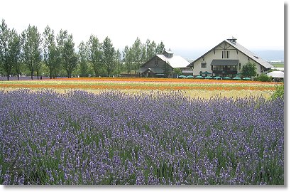 �t�@�[���x�c