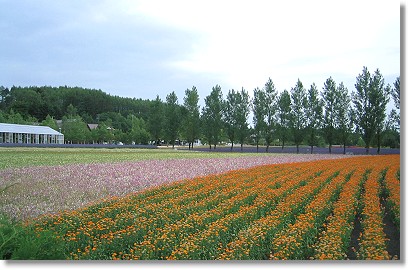 �t�@�[���x�c