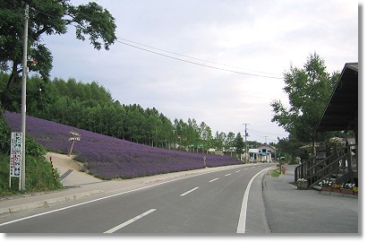 �t�@�[���x�c