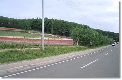 �t�@�[���x�c