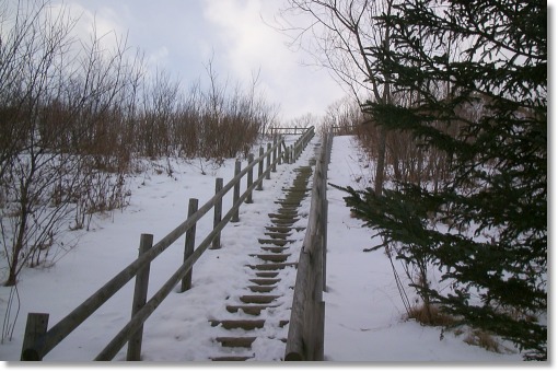 �R�b�^���W�]��