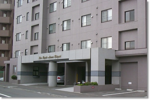 ���[�Y�q���약��