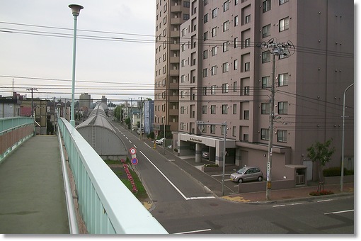 ���[�Y�q���약��