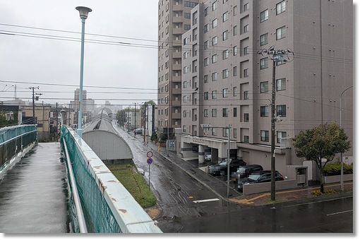 ���[�Y�q���약��