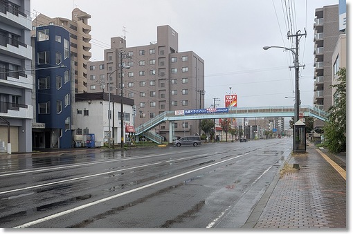 ���[�Y�q���약��