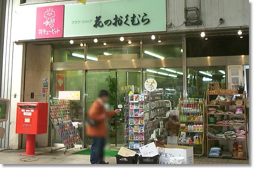 �����ނ琶�ԓX