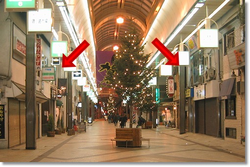 �΂̒��E���̑�