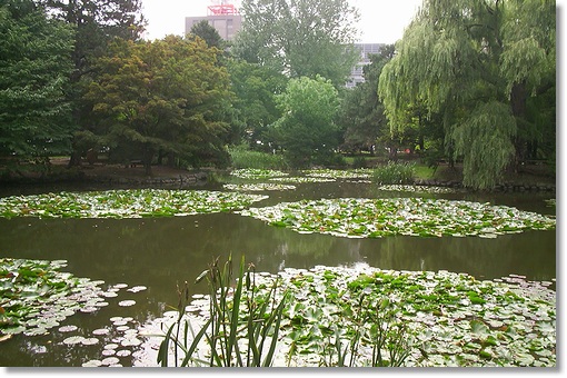 ���k�C����